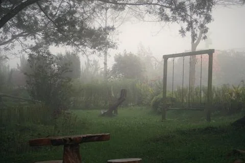 DSC03713 Stock Photos