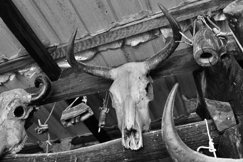 DSC04193 Stock Photos