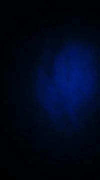 DSC04233 Stock Photos