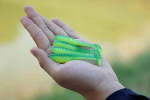 DSC04396 Stock Photos