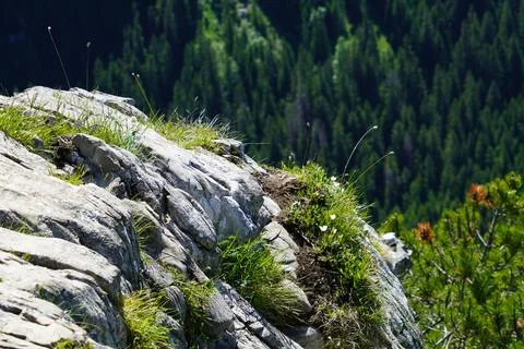 DSC04472 Stock Photos