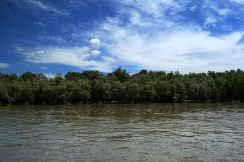 DSC04499 a  On the right bank, upstream, on the Borcea arm Stock Photos