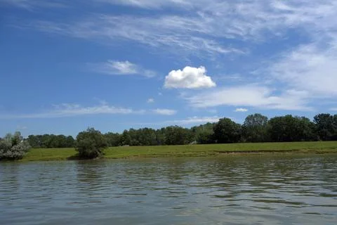 DSC04546 a   Spring in May on the Borcea arm, 2021 Stock Photos