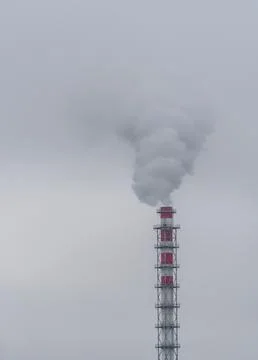 DSC05480 Stock Photos