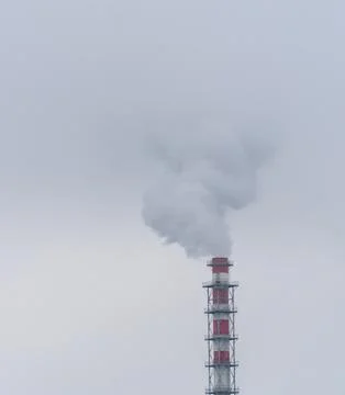 DSC05481 Stock Photos