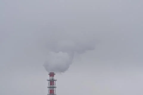 DSC05483 Stock Photos