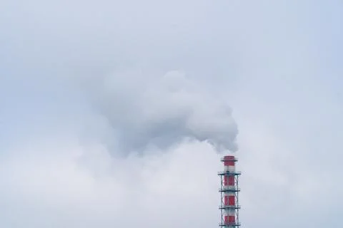 DSC05485 Stock Photos