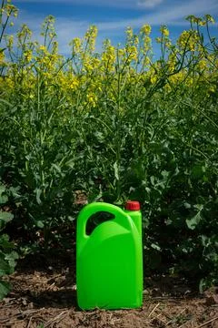 DSC06124 Stock Photos