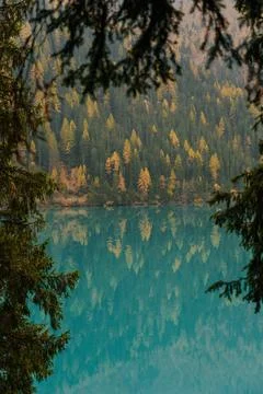 DSC06964 Stock Photos