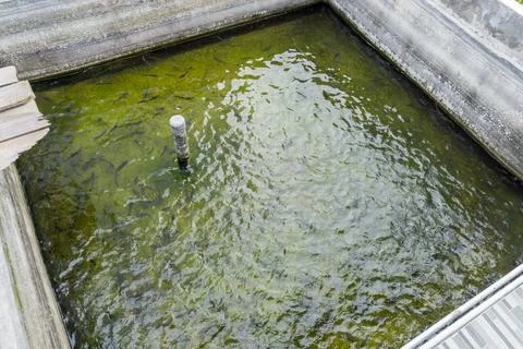 DSC07917 Stock Photos