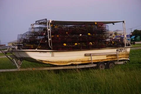 DSC08013 스톡 사진