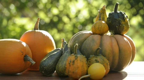  DSC0846 Stock Footage 863866