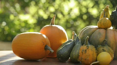  DSC0849 Stock Footage 863922