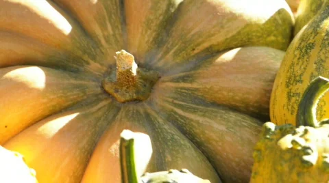  DSC0864 Stock Footage 864408