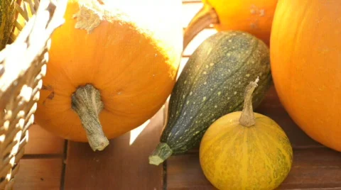  DSC0865 Stock Footage 864420