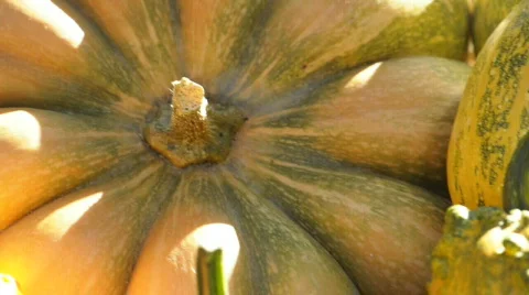  DSC0868 Video stock 864437