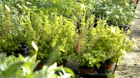  DSC0891 Stock Footage 864534