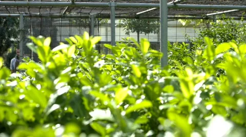  DSC0894 Stock Footage 873976