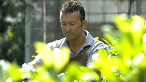  DSC0897 Stock Footage 874062