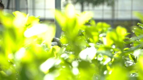  DSC0898 Stock Footage 874099