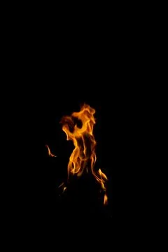 DSC09205 库存照片