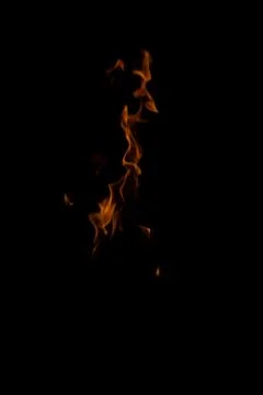 DSC09206 库存照片