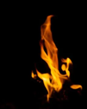 DSC09209 库存照片