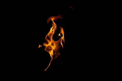 DSC09213 库存照片