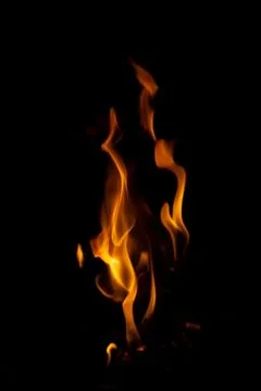 DSC09215 库存照片