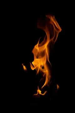 DSC09216 库存照片