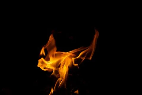 DSC09217 库存照片