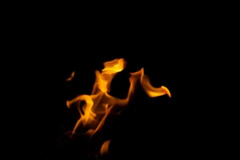 DSC09218 库存照片