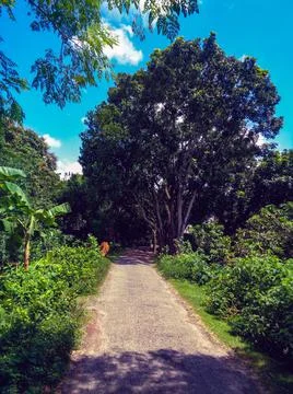 DSC09343 Stock Photos