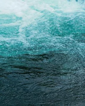 DSC09831 库存照片