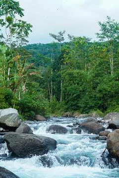 DSC09846 库存照片