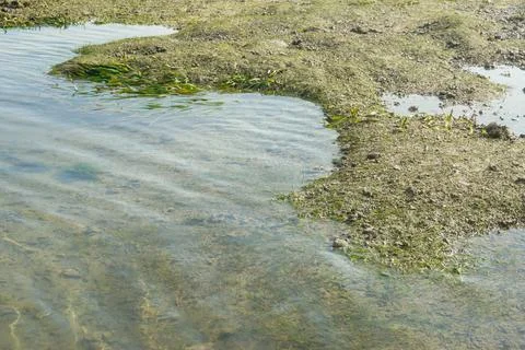 DSC09972 Stock Photos