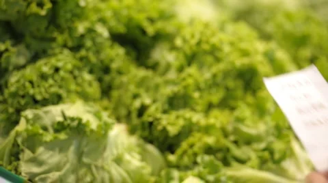  DSC1292 Stock Footage 929819