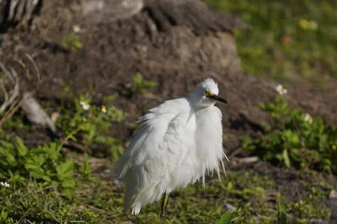 DSC2805 Stock Photos