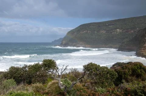 DSC2993 Stock Photos