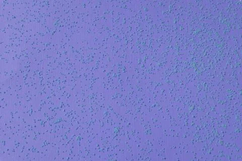  DSC3043rd Stock Photos