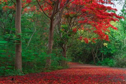  DSC4006 Stock Photos