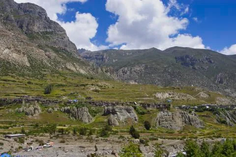 DSC4440 Stock Photos