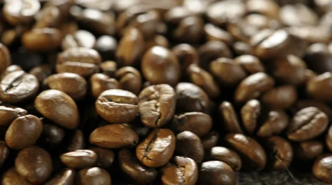  DSC5310 Stock Footage 990769