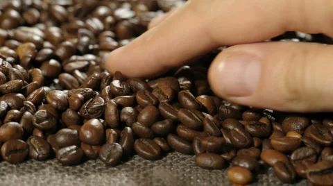  DSC5321 Stock Footage 990871