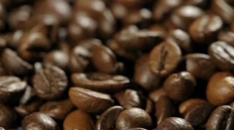  DSC5325 Stock Footage 990991