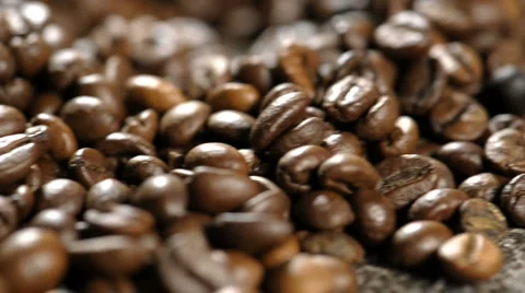  DSC5436 Stock Footage 991046