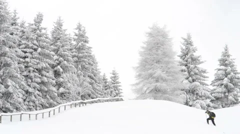  DSC6086 Stock Footage 992130