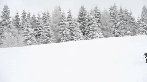  DSC6086a Video stock 992160