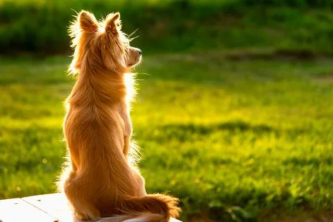 DSC6193-2 写真素材