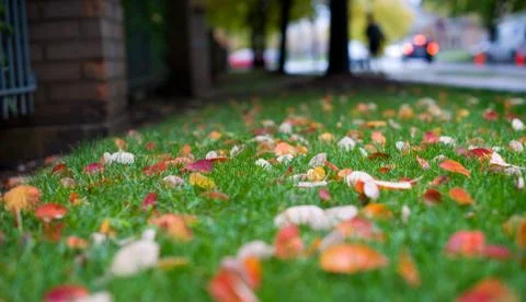 “ DSC6921”为智能对象-1 Stock Photos